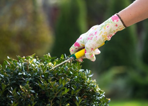 Local gardening service in Charlton improving lawn and planting areas
