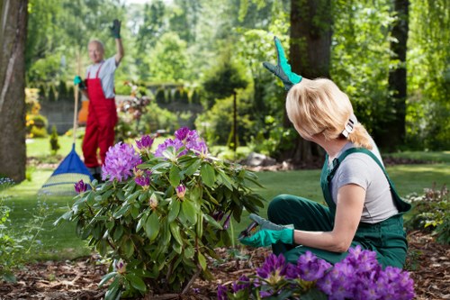 Professional gardening services in Charlton maintaining a neat garden