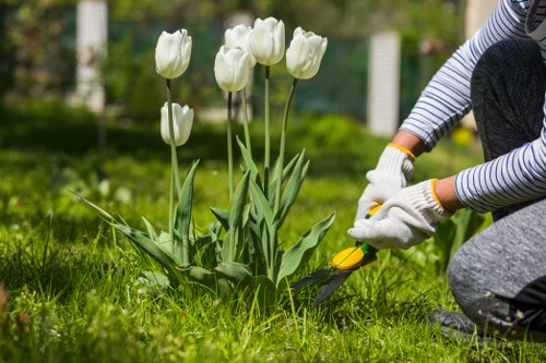 Lawn mowing service keeping a Charlton garden neat and tidy