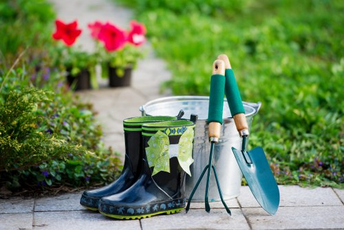 Healthy managed trees improving a Charlton garden
