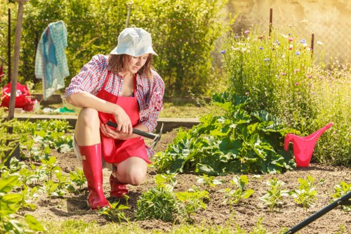 Professional Charlton gardeners working on a landscaped outdoor space
