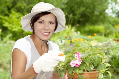Regular garden upkeep in Charlton with shrubs and flowerbeds
