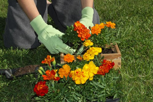 Graphic representing keyboard-friendly Charlton gardening pages