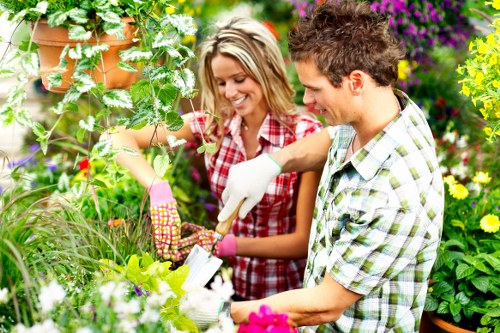 Professional gardeners Charlton shaping hedges and beds