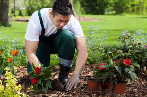 Tidy residential lawn maintained by lawn mowing in Charlton