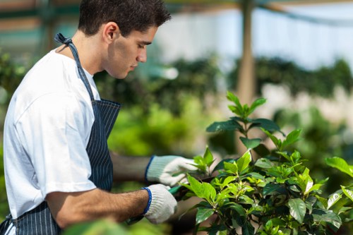 Seasonal gardening care in Charlton with healthy plants