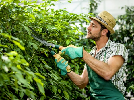 Gardening team separating green waste for recycling in Charlton