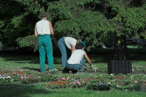 Lawn care and hedge trimming services in Charlton