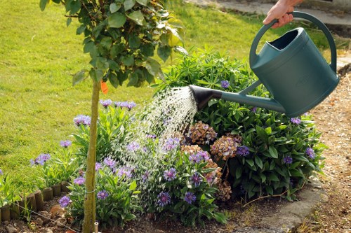 Charlton garden maintenance with neat lawn and borders