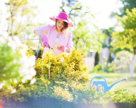 Experienced gardeners in Charlton maintaining a healthy garden
