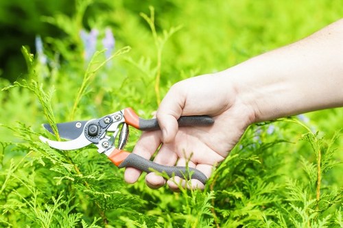 Gardener using protective equipment during maintenance