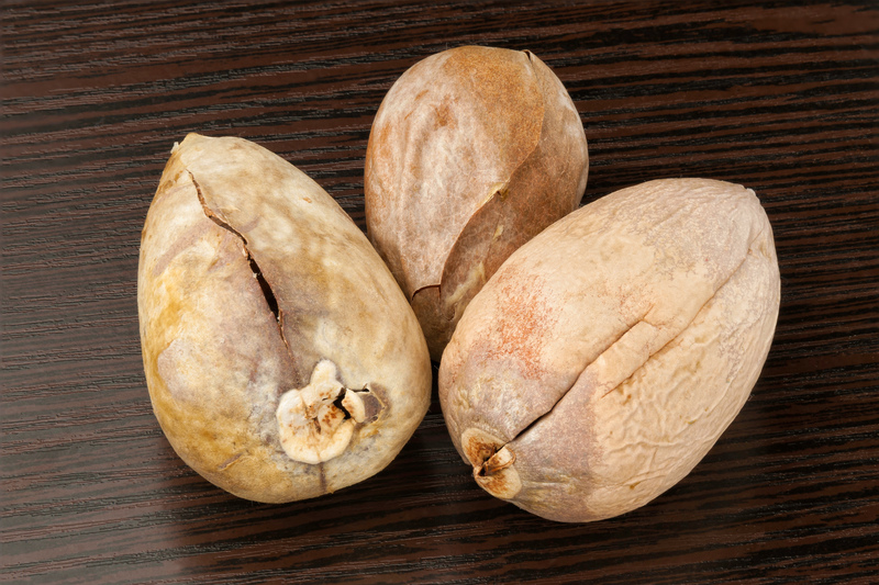 Garden design Garden